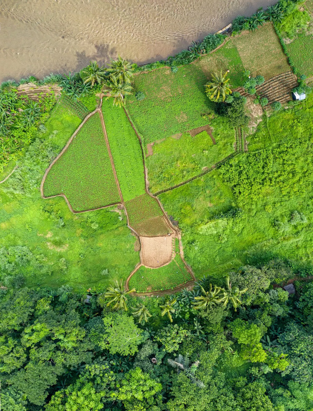 A bird's-eye view of patterned green and brown farmland stretching to the horizon.